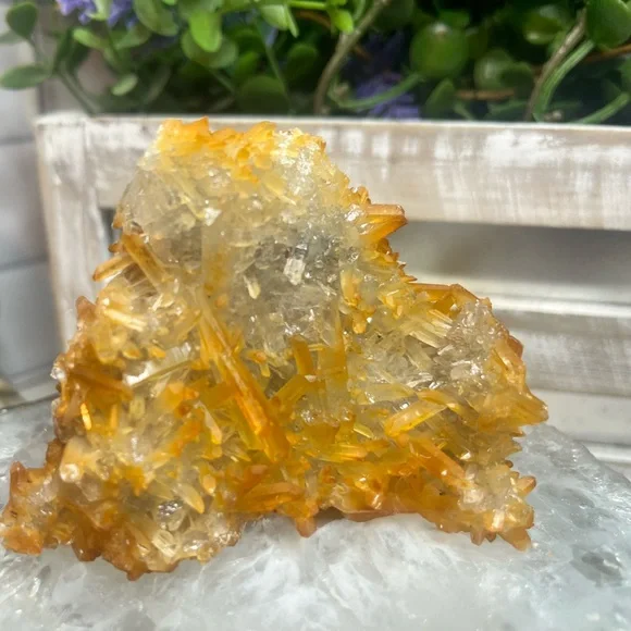 Iron Included Quartz - Picture 4 of 5